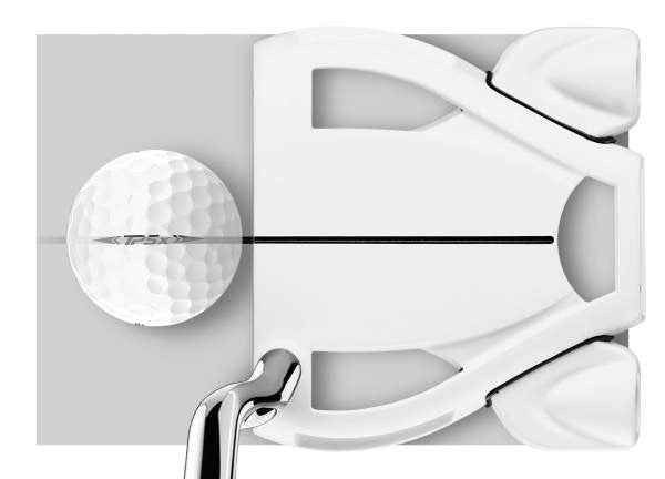 TaylorMade Spider Ghost White Putter Double Bend N7534626 Mallet 34" Steel Shaft