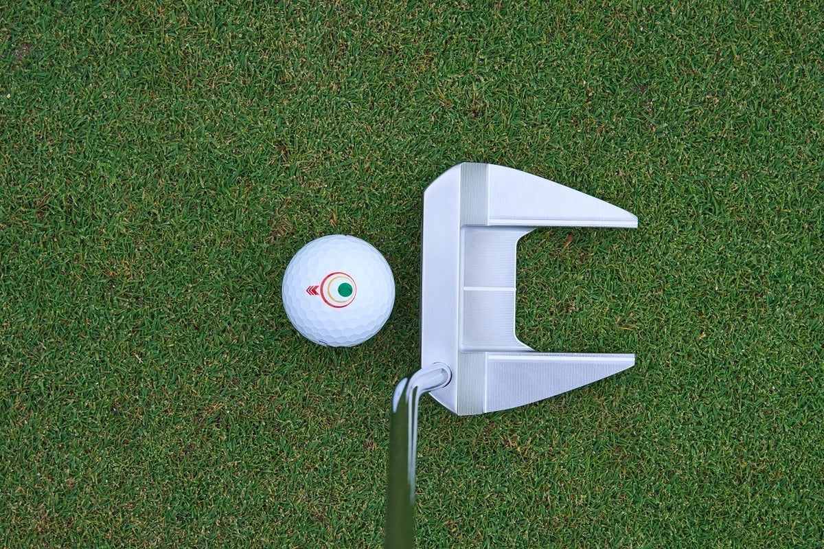BRIDGESTONE GOLF BP-3 Neo Mallet Putter Club 34in Original Steel Shaft 2024 Men